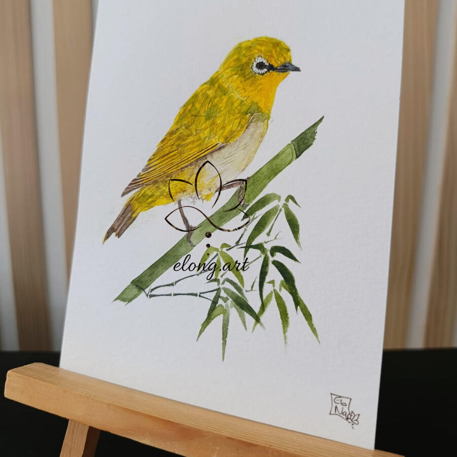 Oiseaux